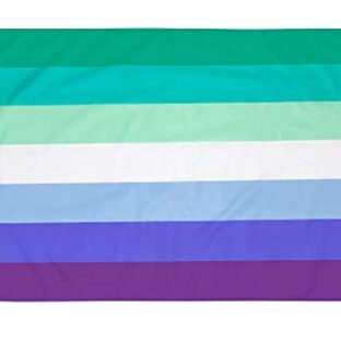 PHENO FLAGS Gay Pride Flagge 90x150 cm - Homosexuelle Fahne mit Messing-Ösen - Wetterfeste MLM Flagge für Fahnenmast - 100% Polyester