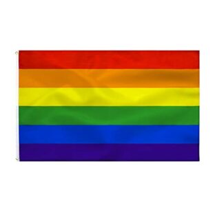 Gay Pride Flagge Regenbogen flagge 90 x 150 cm - LGBTQ Flag Polyester leuchtenden Farben mit Messing-Ösen,Kann Drinnen und Draußen Verwendet Werden