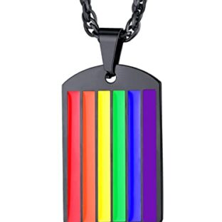 Bandmax Regenbogen Kette Damen Dog Tag Kette Herren Edelstahl Schwarze Kette LGBT Halskette Erkennungsmarke Weizenkette Gay Pride Modeschmuck Accessoire