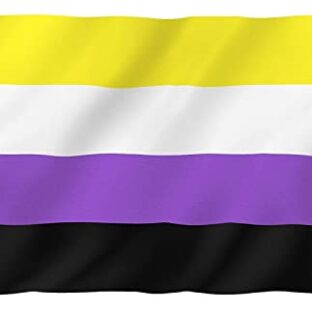 Fontee® [ Non Binary Flag ][ 90X150 cm ][ Siebdruck][ Lebendige Farbe ][ UV-lichtbeständig ][ Leinwandkopf ][ Doppelt genäht][ Dicke Messingösen ] [ NB Pride Genderqueer Gender Identity Flag ]