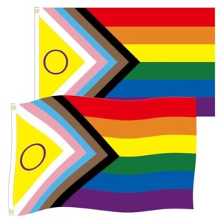 Lgbtq Flagge Hillylolly 2 Stück kräftige Farben Gay Pride Flag, 90X150cm Regenbogenfahne, groß Gay Flag, Regenbogen Flagge mit 2 Ösen für Garten, Balkon, Zimmer, Drinnen und Draußen, Pride Month