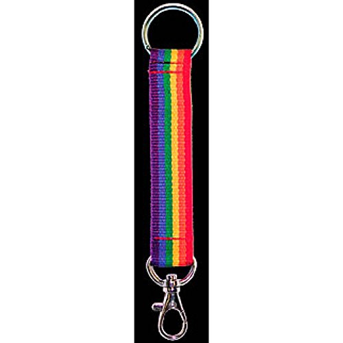 Everflag Regenbogen Schlüsselband mit Karabinerhaken und Ring 11cm lang