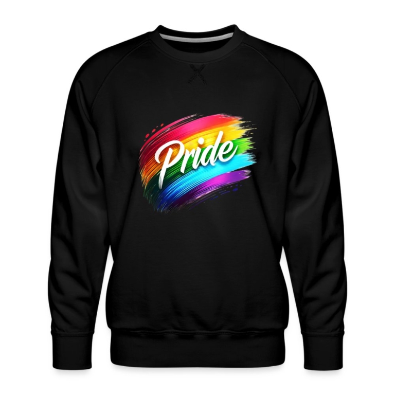 regenbogen-pinselstrich-maenner-premium-pullover-schwarz