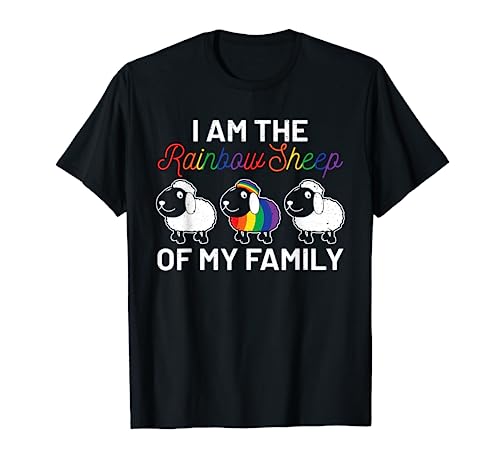 Cooles Herz CSD T-Shirt mit Regenbogen LGBT Flagge Geschenk T-Shirt