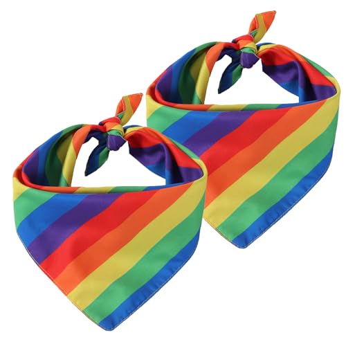 2 Stück Regenbogen Accessoires, Regenbogen Schal, Regenbogen Accessoires Damen Geeignet für Verschiedene Kombinationen mit Leuchtenden Farben