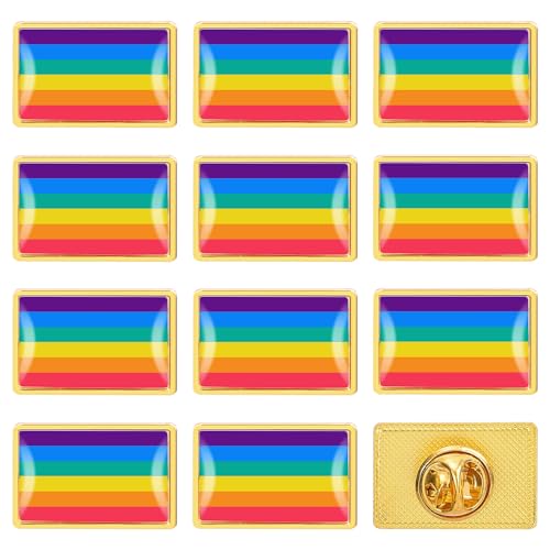 12 stück Gay Pride Flag Pins Anstecker, Grelle Farbe Regenbogen Flagge Brosche Pride Pin für LGBT, Emaille Pride Pins für Revers, Damen, Herren Pride Accessoires