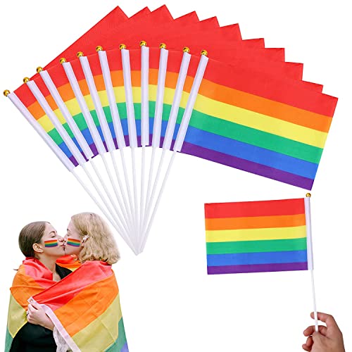 Pride flag LGBTQ Flagge Regenbogen Flagge Kleine 21 x 14 cm 30Stk HandHeld Mini Gay Flag Lebendige Farbe Wetterfeste Dicke Messingösenhe Kann Drinnen und Draußen Verwendet Werden