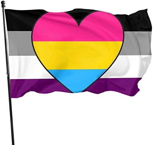 Saisonale und Holiday Yard Flag Banner Asexual Ace Panromantic Pan Heart Pride Flag Themed Welcome Party Outdoor Outside Decorations Ornament Picks Home House Garden Yard Decor 3 X 5 Ft Small Flag