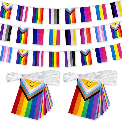 TSMD Intersex Progress Rainbow Gay All Pride Flags Banner String Small Mini LGBTQ inklusive Wimpelkette Dekoration, 18 m 40 Flaggen, 2 Packungen